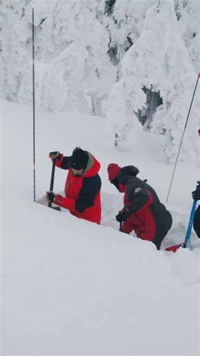 Great Canadian Tours on Instagram: "Great Canadian guide @nadineoverwater talks us through early season snow pits with the guide crew - constant assessment of the snowpack is essential for on-mountain safety. Please note, this is not avalanche advice or reflective of current on-mountain conditions. #snowmobile #snowmobiling #backcountry #greatcanadiantours #revelstoke"