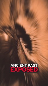 2.1K views · 45 reactions | Did Dragons Exist In The Ancient Past 勞 #dragons #dinosaur #ancient #history #conspiracy #theory #conspiracytiktok #exposed #truth #historytime | Truth.xposer | Facebook