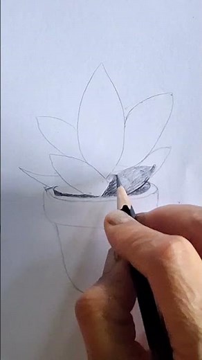 Cute Plant Pot Drawing | Easy Pencil Sketch