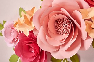 Paper Flower SVG | Paper Rose Template | 3D Paper Flower