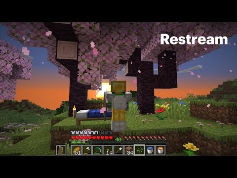 🧩Let's Play Minecraft Day 42!!?🧩Wednesday Cartoons!? get the chickens up with me!? 🧩