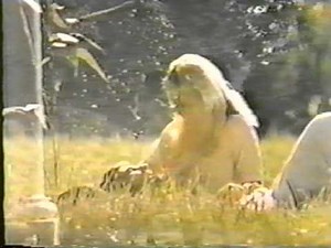 1972 Pepsi-Cola Commercial "Young Love"