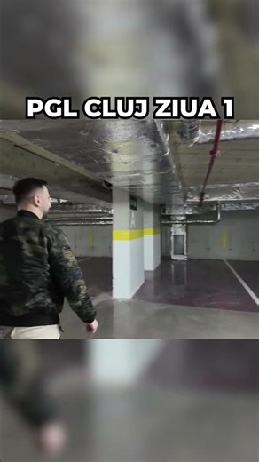 #str3su and #finu #faking #stairs #funny #prank #shorts