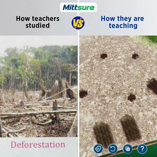 Deforestation Explained with Mittsure Lens 🌳🌍 | Interactive 3D Learning for Kids