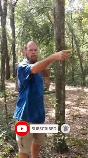 Deploying the New Magic Eagle Trail Camera 🦅📸