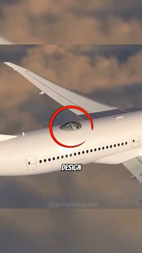 SkyDeck: 360° Glass Dome Passenger Experience on Top of an Airplane