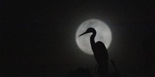 April's full Pink Moon rises as micromoon Saturday