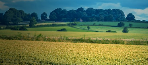 Support - Business Manager - Farmplan