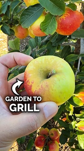 What’s the best fully homegrown meal you’ve ever made from your garden? This one’s close for us… | Epic Gardening