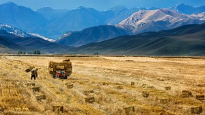 Do industrial agricultural methods actually yield more food per acre than organic ones?