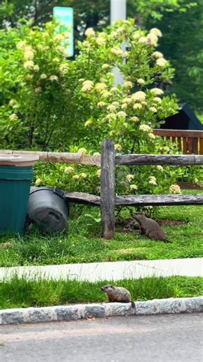 👽👾🛸 #creaturesoftime