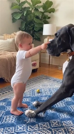 Tiny "Boss Baby" Has a Serious Argument with his Giant Dog 🐕 #shorts #dogs #baby #funny #cute #lol