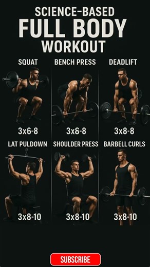 Science Based Full Body Workout #workout