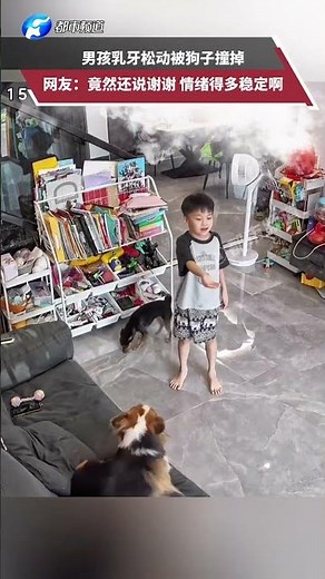 A boy's baby tooth was knocked out by a dog. Netizens commented: "He actually said thank you. How...