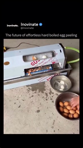 Inovinate on Instagram: "An automatic hard-boiled egg peeler uses a mix of mechanical motion and pressurized water to quickly and cleanly remove eggshells without damaging the egg. Here’s how it generally works: after boiling, the eggs are cooled—often in an ice bath—to loosen the shell from the membrane. They’re then placed in a chamber or on a conveyor where they are lightly cracked through rolling, vibration, or impact. Jets of pressurized water are then aimed at the cracks, forcing water und