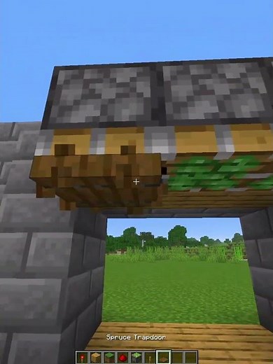 How to make super cool piston trapdoor door design for houses and garages #minecraft #doors #build