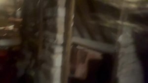 4.5K views · 168 reactions | Paddy Doherty Site on Reels | Facebook