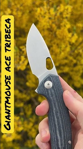 Giantmouse ACE Tribeca in MAGNACUT - First Look!