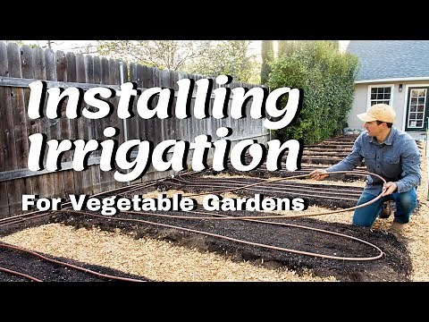 Installing Irrigation For Vegetable Gardens