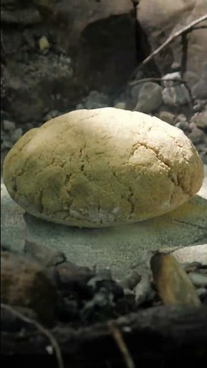 Primitive Bread Baking - Food For The Poor Farmer In Early America