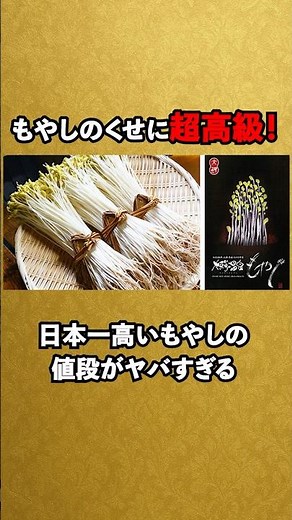 温泉水で作る超高級もやし♨️ #雑学 #shorts #トリビア #小ネタ