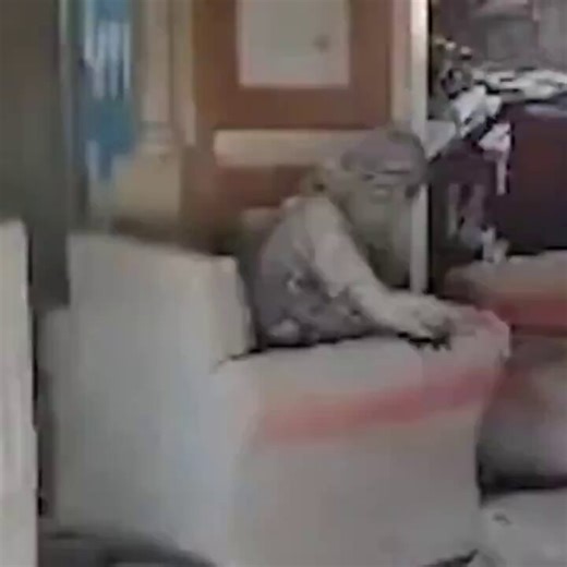 He was a pussy rat loser who finally came out of his tunnel and took off his hijab disguise, caught with nothing more than a shoddy baton before an 18 year old IDF officer shot him. He was the 'butcher of Palestine' - because he killed Palestinians. His death was a victory for Israelis and Palestinians alike. It was the best day of this war so far.