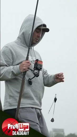 Do the fish bite even without sun?!