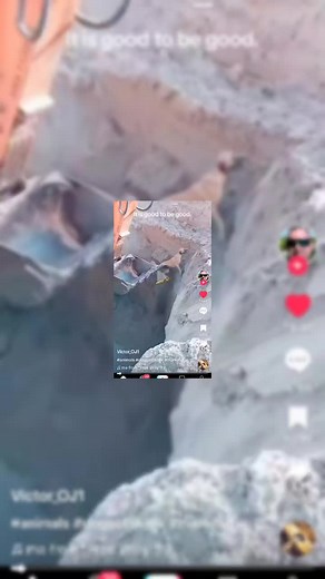 Agani (@agani659)’s videos with original sound - Agani