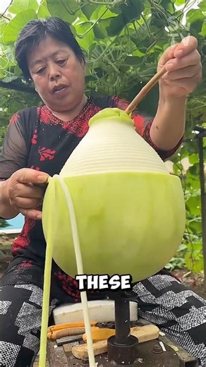 How Chinese farmers store this giant round gourd