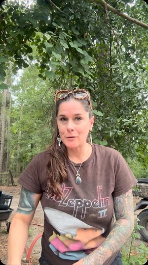 I’m hoping that this round of losses due to coccidia is over. I’m currently still treating with corid while I wait for the end of cox that I’ve ordered to arrive 🫶🏻 | Mojo Homestead FL Official