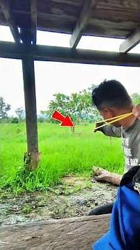 🎯 Amazing Slingshot Accuracy! Hitting the Target in the Field!