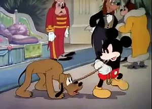 Society Dog Show Mickey Mouse