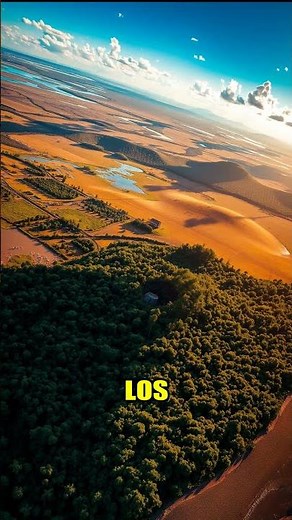 Capybaras: Where to Live? 🏞️
