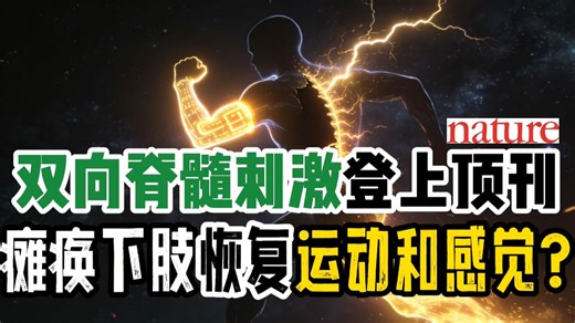 让瘫痪者能动有感觉 双向脊髓电刺激上顶刊