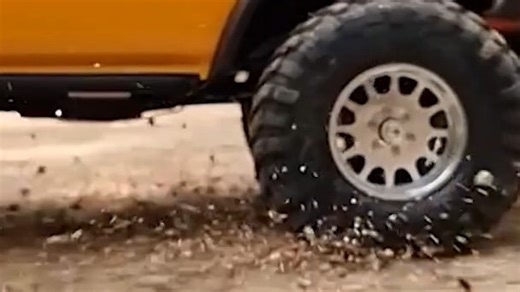 RC遥控车 新野马 Traxxas TRX4