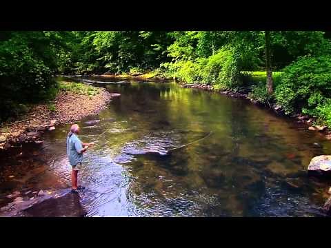 Go Fish, Georgia! - Georgia Fishing