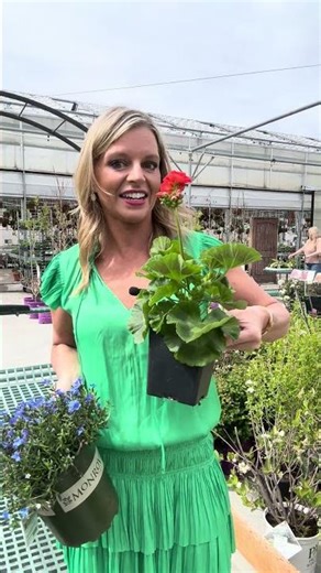 Annuals vs Perennials: What's the Difference?