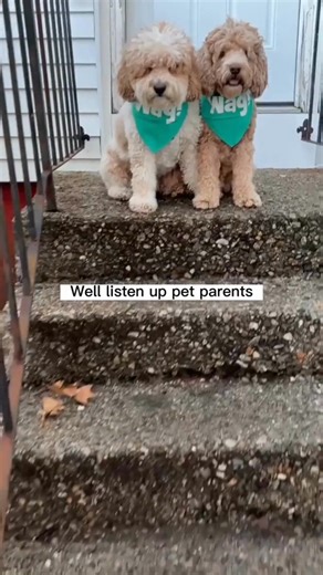 Looking for a dog walker? Use Wag! to find local care. Wag! connects you with background-checked Pet Caregivers who can provide tailored help to your pet’s needs. Whether you need a walk, drop-in, sitting, or boarding, stay connected with real-time service updates and photos. Sign up and book now. | Wag