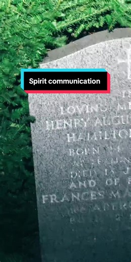 Exploring Spirit Communication with a Talker App