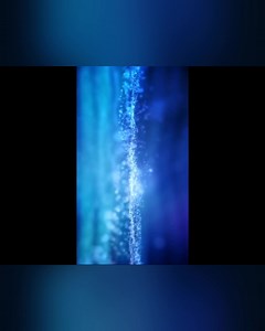 Hannah Mermaid on Reels