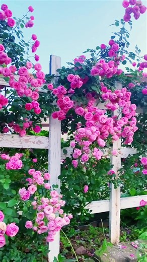 The Ultimate Guide to Flower Decor for Home Interiors