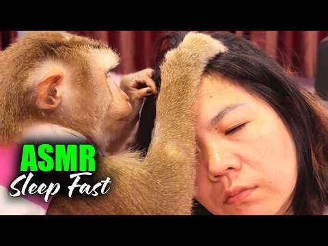 ASMR Monkey Grooming (Close-Up) | Sleep Fast With Judy’s Deep Tingles No Talking
