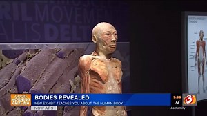 The highly detailed exhibit 'Bodies Revealed' has arrived at OdySea in the Desert in Scottsdale. The exhibit teaches you an extremely upclose look at the human body like you honestly never seen before (unless you are a doctor). This is super cool way for people of all ages to learn something new. I was super intrigued. These are ACTUAL HUMAN BODIES. NOT MODELS. | Cameron Ridle