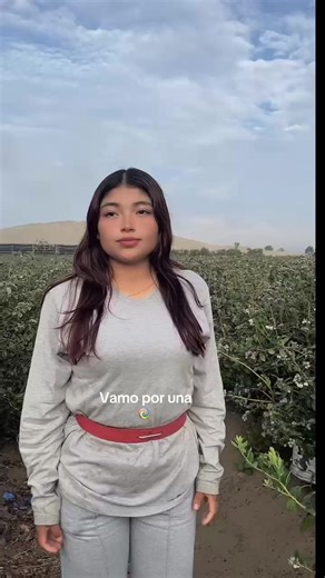 Cómo usar la paleta de colores en tendencias