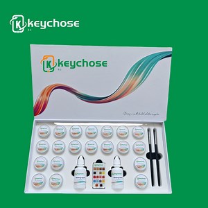 [Hot Item] Kit de tinción estética Keychose para encía rosa, pasta de cerámica de zirconia dental, esmalte para laboratorio dental