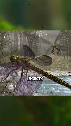 Why the Carboniferous Period Was TERRIFYING #extinctanimals #prehistoric