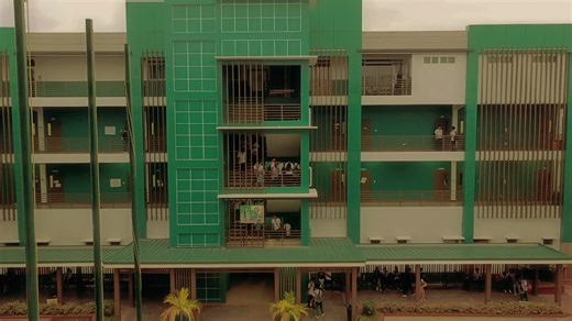 Northeastern College