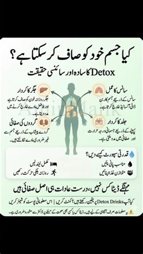 Can Your Body Clean Itself?The Science Behind Natural Detoxification