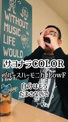 『サヨナラCOLOR /SUPER BUTTER DOG』ブルースハーモニカ（LowF:2nd）二重奏 ※ちょっとロングバージョンはInstagramまたはTikTokで(^)3^)♫ ＃ベンド