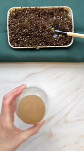 Create your own little ecosystem! Build a closed terrarium and watch nature thrive in a self-sustaining world. #Terrarium #MiniEcosystem #closedterrarium #succulent #ecosystem #plants #diy #diykit #crafting #planting #planter | The Crafty Kit